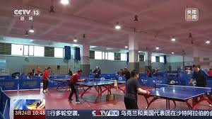 世界杯官网入口 乒乓球台可改尺寸不